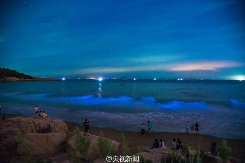 你知道多少带“龙”字的成语?