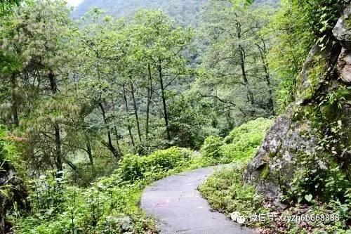 “新春杯”气排球比赛开赛