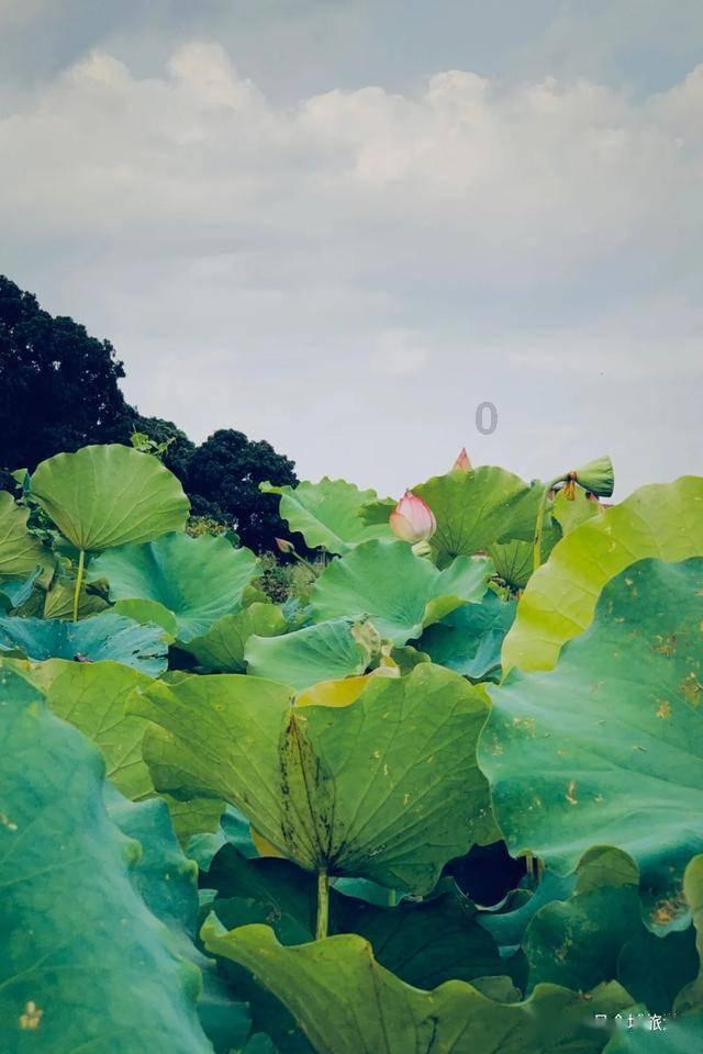 移动的滚轮