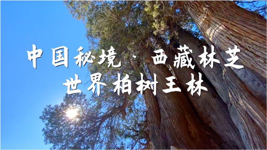 宋江用70多个兄弟的命,换来楚州安抚使一职,究竟是多大的官衔?