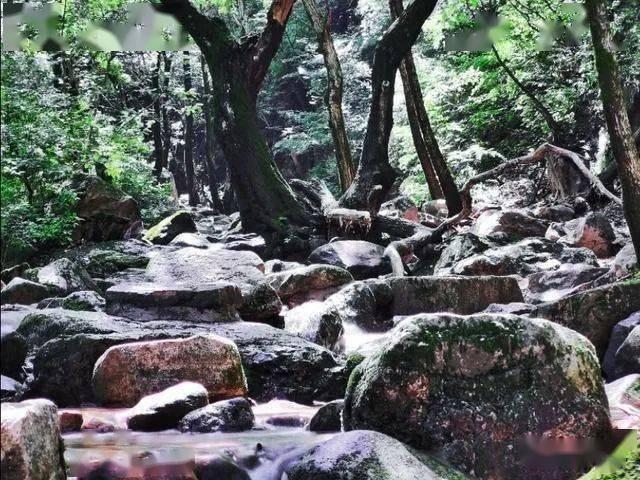 探索知识星球平台,畅享学习与分享为什么手机没插耳机却是耳机模式?的乐趣