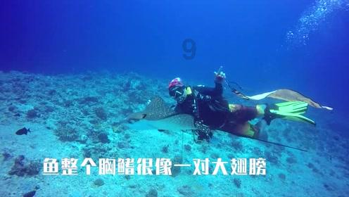 我就是妖女