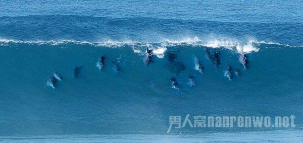 施尧村连续8年向村民发福利