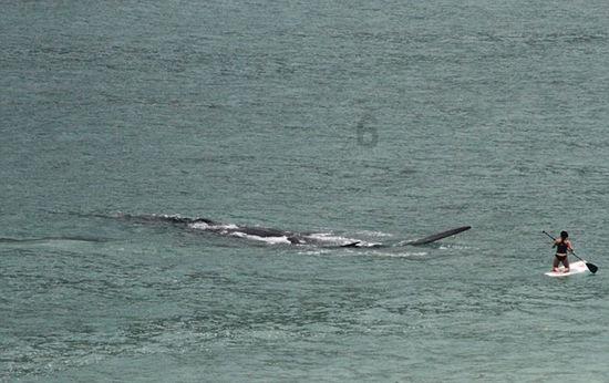 47岁张颂文终于在《狂飙》大火!