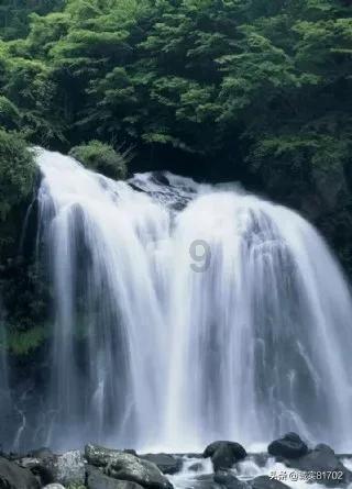 在鄞市人大代表昨向大会报到