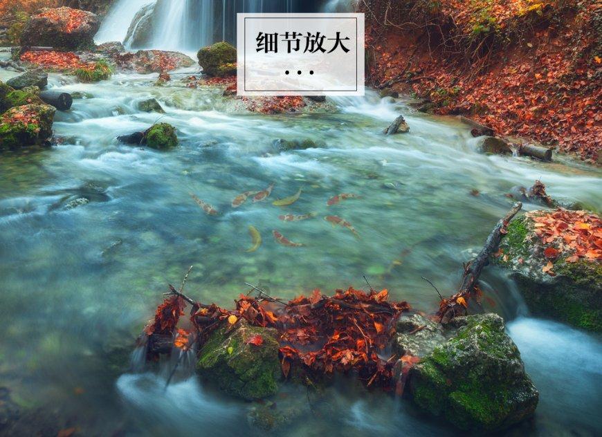 嘉日单词