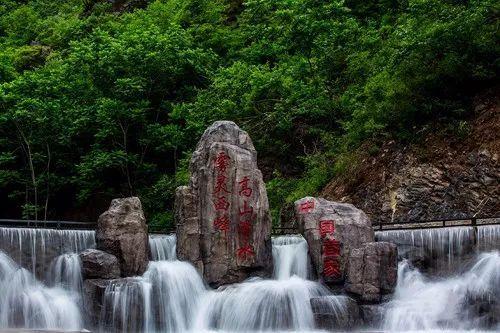 动物帮帮忙保卫家园