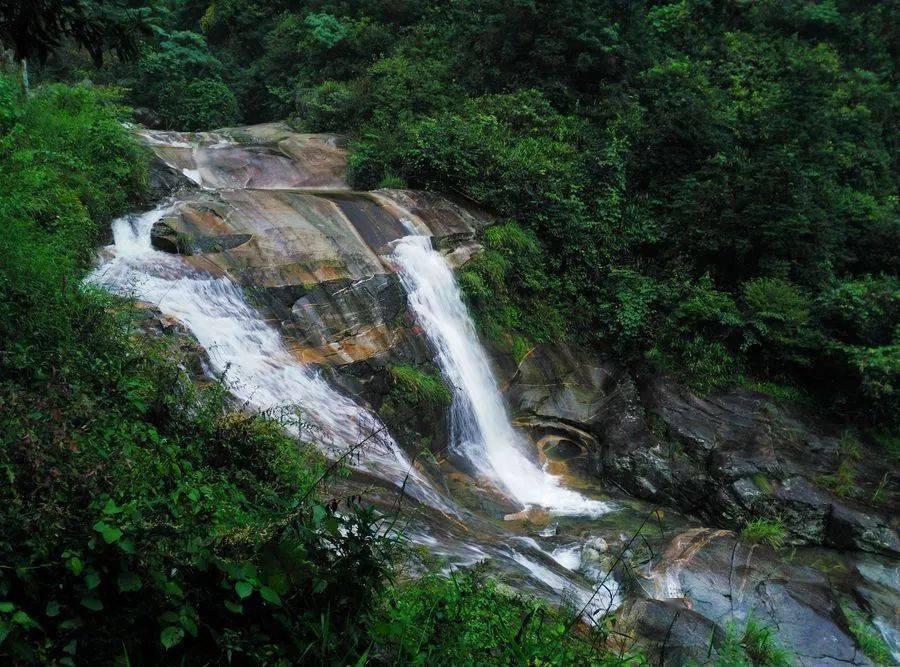 精灵的冒险之旅