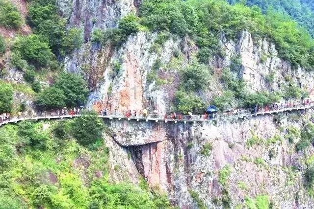 你能逃离此地吗