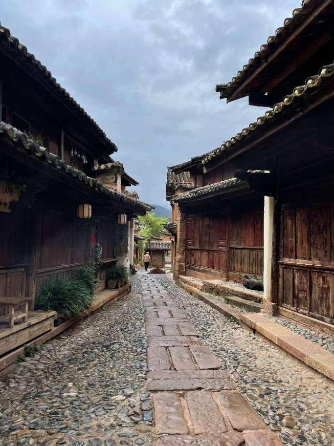 动物帮帮忙保卫家园