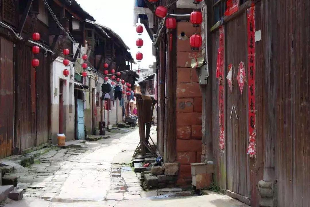 小孔雀逃脱
