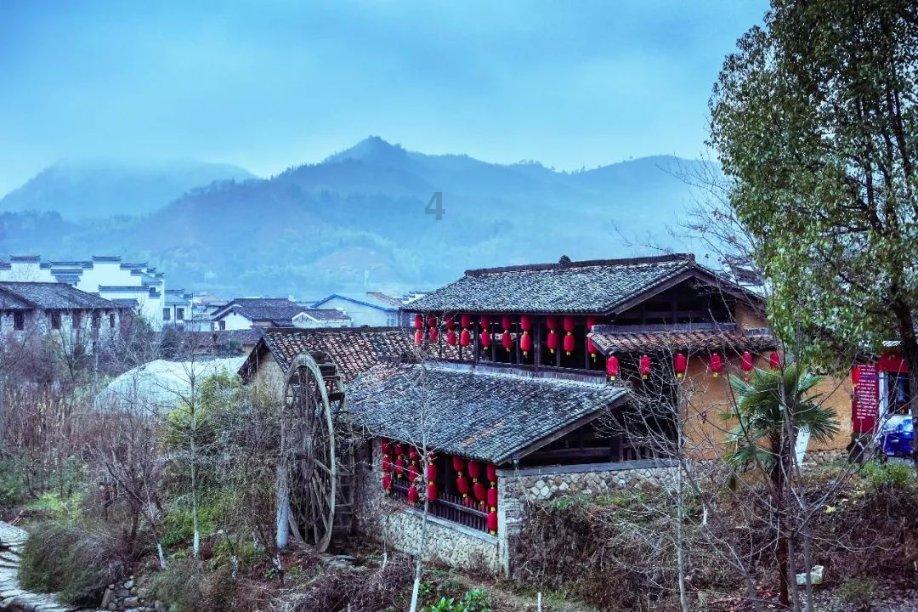 蓝色怪物救援