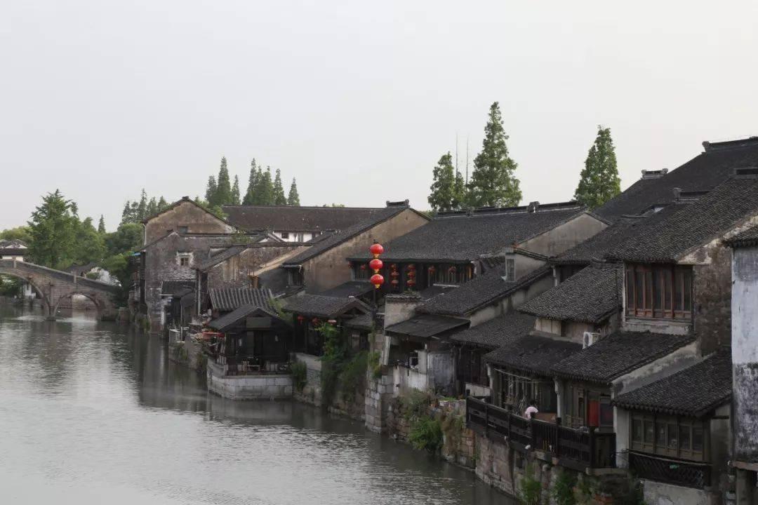 小猫钓鱼游戏龙王版有船