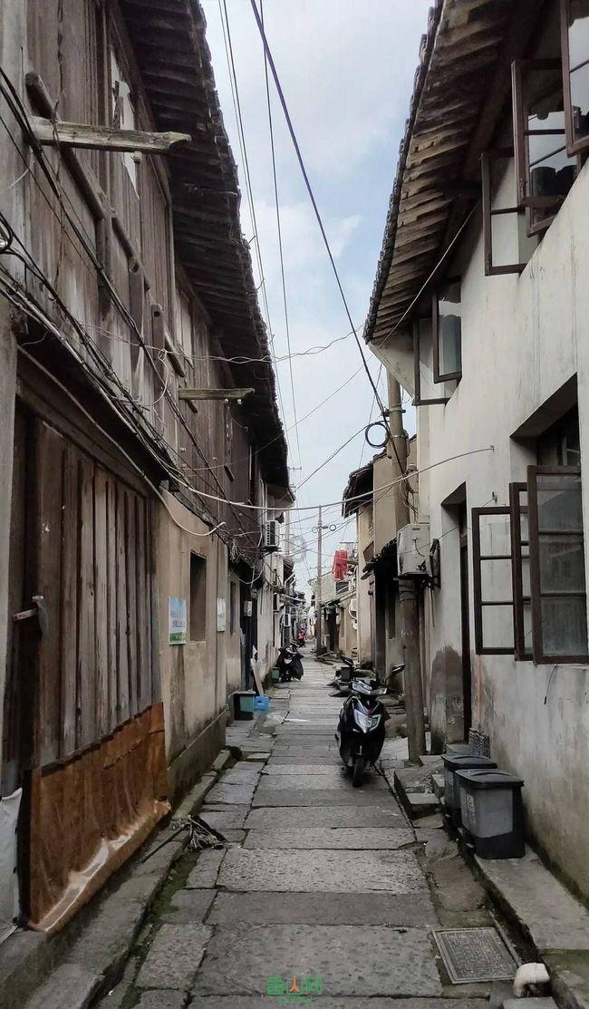 召唤神龙万宁版祖龙